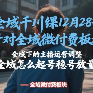 12月28日全域千川线下课 主播运营调整及起号稳号放量方法-雨叶虚拟资源网