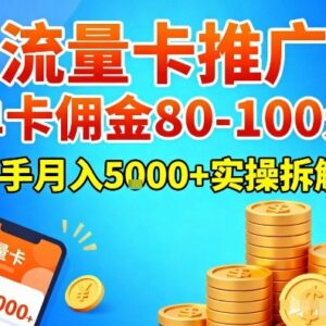 流量卡推广实操拆解 单卡佣金80-100新手月入5k操作教程-雨叶虚拟资源网