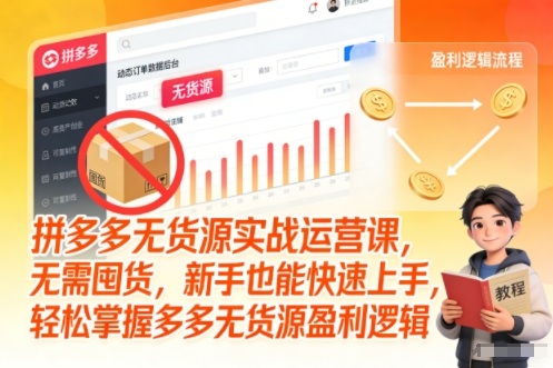 拼多多无货源运营实战课 新手无需囤货从0到1掌握盈利逻辑