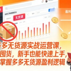 拼多多无货源实战运营教程 新手零囤货从0到1掌握盈利逻辑-雨叶虚拟资源网
