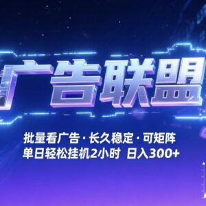 广告联盟全自动看广告掘金项目 可矩阵操作单月收益可达1万+-雨叶虚拟资源网