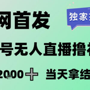 2026蝴蝶号无人直播掘金项目 低门槛稳定增收玩法详解-雨叶虚拟资源网