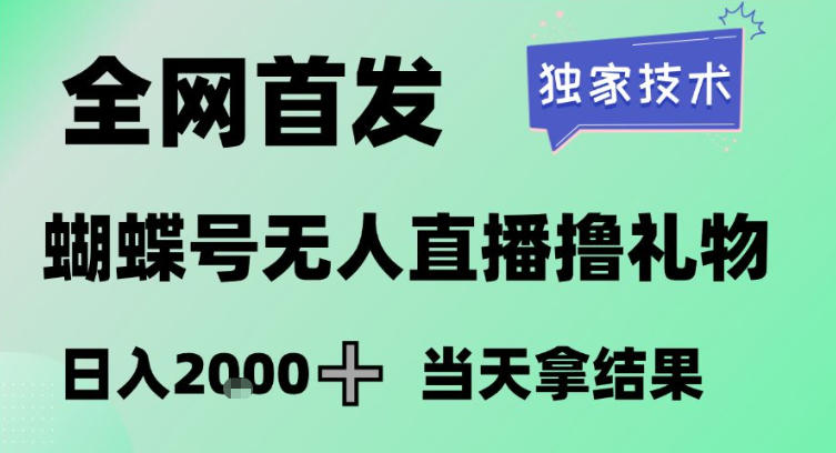 2026蝴蝶号无人直播掘金项目 低门槛稳定增收玩法详解