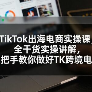 TikTok出海电商实操课程 全流程手把手教你做好TK跨境电商-雨叶虚拟资源网