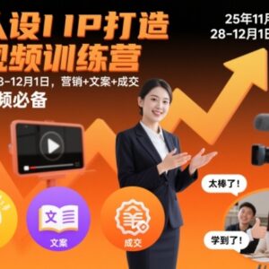 2025年强人设IP打造短视频训练营 覆盖营销文案成交全体系内容-雨叶虚拟资源网