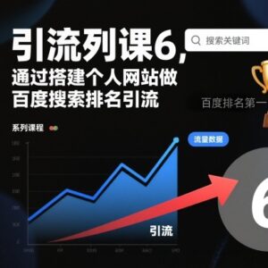 引流系列课第6期：搭建个人网站做百度搜索排名引流全教程-雨叶虚拟资源网