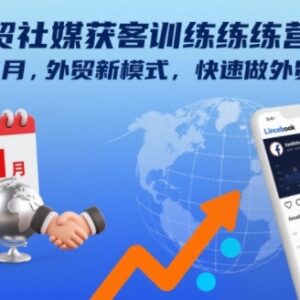 2024年11月外贸社媒获客训练营 新型外贸获客模式学习资料-雨叶虚拟资源网