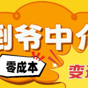 单人AI零成本中介副业拆解 靠信息差月入2万实操指南-雨叶虚拟资源网
