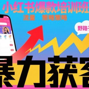 小红书爆款运营培训班干货 野路子流量打法实现持续精准获客-雨叶虚拟资源网