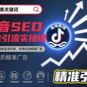 抖音SEO精准引流实操课程 搜索蓝海布局及获客技巧教学-雨叶虚拟资源网