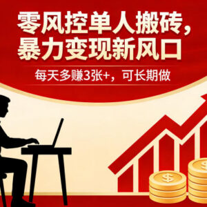 零风控单人搬砖变现项目介绍 无门槛可长期操作收益稳定-雨叶虚拟资源网