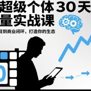 AI超级个体30天流量实战课 从小项目到商业闭环打造个人发展生态-雨叶虚拟资源网