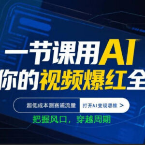 AI短视频爆款制作实战课 低成本测流量赛道 掌握AI变现新思路-雨叶虚拟资源网