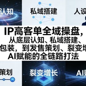 IP高客单全域操盘全链路教程 覆盖私域搭建人设包装发售全流程-雨叶虚拟资源网
