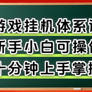 CSGO饰品挂机捡漏项目全流程 新手零门槛快速上手教程-雨叶虚拟资源网