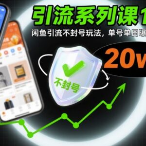 闲鱼引流不封号实操系统教程 单号单日20w+曝光玩法全解析-雨叶虚拟资源网