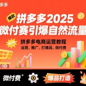 2025拼多多微付费运营教程 爆品推广自然流量引爆实操合集-雨叶虚拟资源网