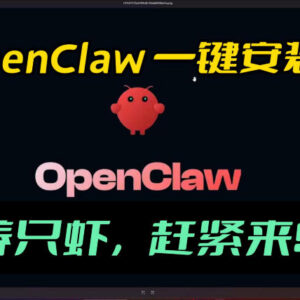 OpenClaw全流程安装教程及配套资料分享 10分钟即可完成部署-雨叶虚拟资源网