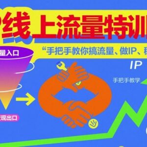 IP线上流量特训营教程 手把手教你搞流量做IP实现稳定变现-雨叶虚拟资源网