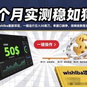 wishlba海外撸金项目3个月实测 无门槛一键运行日入50美刀保姆级教程-雨叶虚拟资源网
