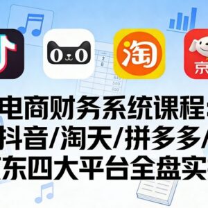 覆盖四大主流平台的电商财务全盘实操课程 对账做账全解析-雨叶虚拟资源网