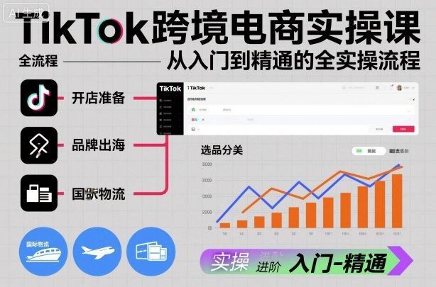 TikTok跨境电商实操全流程课 从入门到精通全环节运营教学