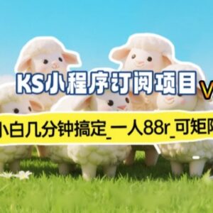 小白可操作小程序订阅副业项目 单账号收益70-80r支持矩阵运营-雨叶虚拟资源网