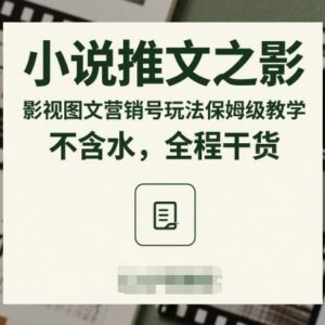 小说推文影视图文营销号玩法保姆级教学 全流程无水分干货-雨叶虚拟资源网