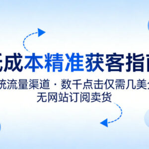 低成本精准获客指南 非传统流量渠道低投入获客订阅卖货方法-雨叶虚拟资源网