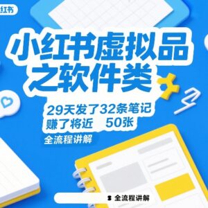 小红书软件类虚拟品运营实操全流程 29天32条笔记变现近5000元-雨叶虚拟资源网