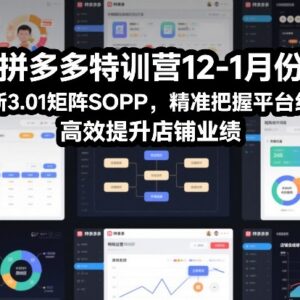 12-1月拼多多特训营3.01矩阵SOP 助力商家把握红利提升业绩-雨叶虚拟资源网