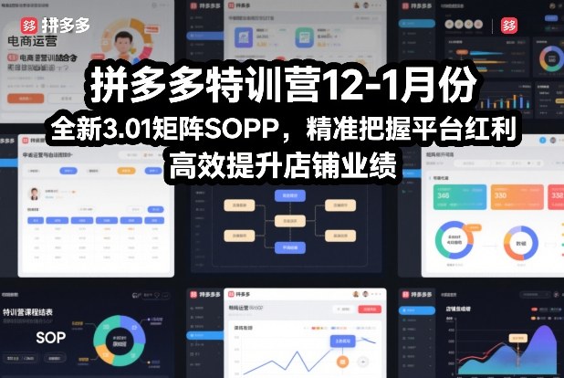12-1月拼多多特训营3.01矩阵SOP 助力商家把握红利提升业绩