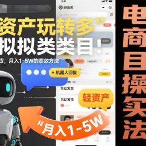 2025拼多多虚拟类目轻资产玩法 机器人回复+自动发货盈利方法-雨叶虚拟资源网