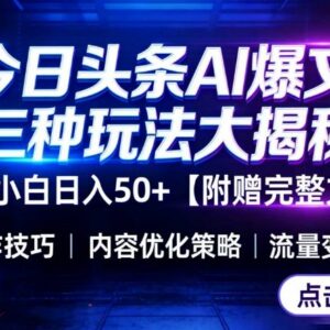 今日头条三种主流玩法全解析 小白易上手附配套操作指引文档-雨叶虚拟资源网