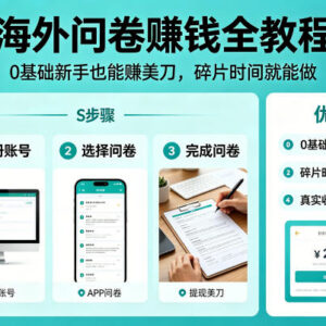 0基础新手海外问卷赚钱全教程 碎片时间操作即可赚美元-雨叶虚拟资源网