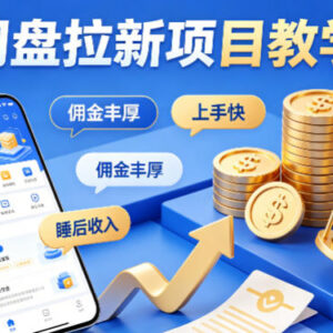 项小推网盘拉新项目教学 低门槛上手打造稳定被动睡后收入-雨叶虚拟资源网