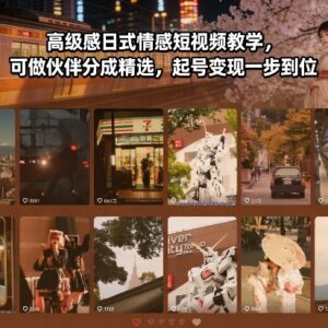 高级感日式情感短视频教学 快手情感号起号变现完整教程-雨叶虚拟资源网