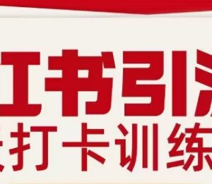 小红书引流21天打卡训练营第二期 掌握私域引流全流程实操方法-雨叶虚拟资源网