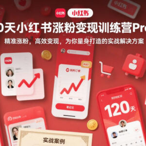 2025版120天小红书涨粉变现Pro训练营 博主实操全攻略-雨叶虚拟资源网