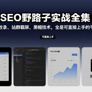 SEO野路子实战全集 快速收录站群霸屏黑帽实操干货教程-雨叶虚拟资源网