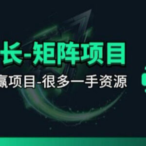 团长合作视频矩阵项目详解 招募发手及剪辑师共赢拿收益-雨叶虚拟资源网