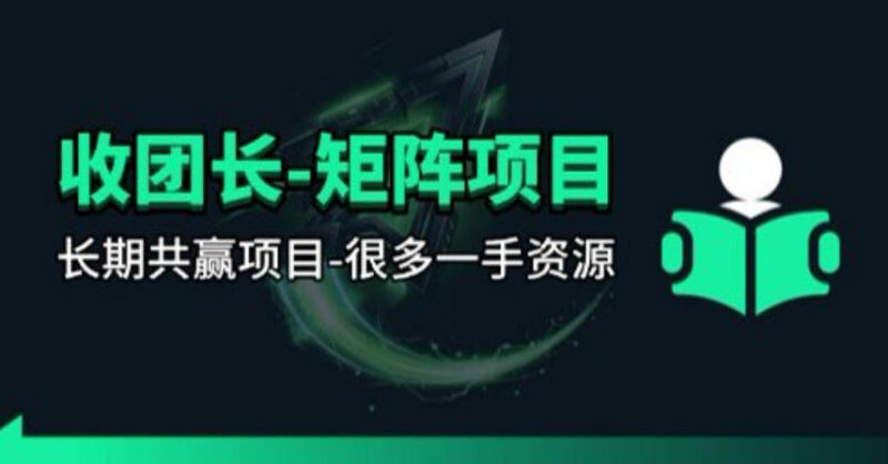团长合作视频矩阵项目详解 招募发手及剪辑师共赢拿收益
