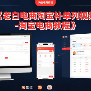 老白电商淘宝补单系列教程 补单方法稽查降权全解析-雨叶虚拟资源网