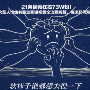 火柴人情绪共鸣动画短视频全流程拆解 21条视频涨粉73W起号技巧-雨叶虚拟资源网