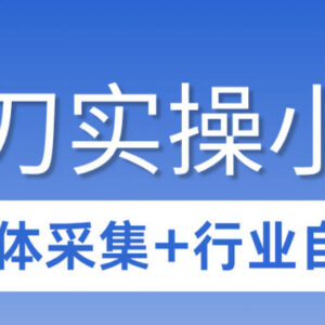 影刀RPA3天入门实操教程 自媒体采集及全行业自动化流程教学-雨叶虚拟资源网