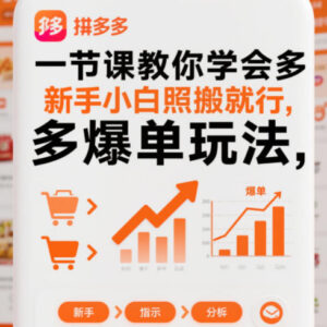 拼多多新手商家爆单玩法教程 零基础小白可直接照搬操作-雨叶虚拟资源网