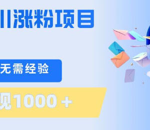 千川涨粉低门槛副业实操 无需技术单部手机单日变现上千元-雨叶虚拟资源网