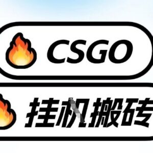 CSGO饰品全自动捡漏教程 无需打游戏手机操作单日收益超千元-雨叶虚拟资源网