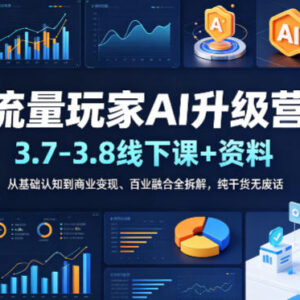 流量玩家AI升级营线下课资料 从基础认知到变现百业融合全拆解-雨叶虚拟资源网