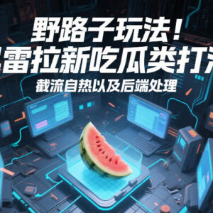 迅雷拉新吃瓜类打法操作指南 截流玩法及后端处理流程详解-雨叶虚拟资源网